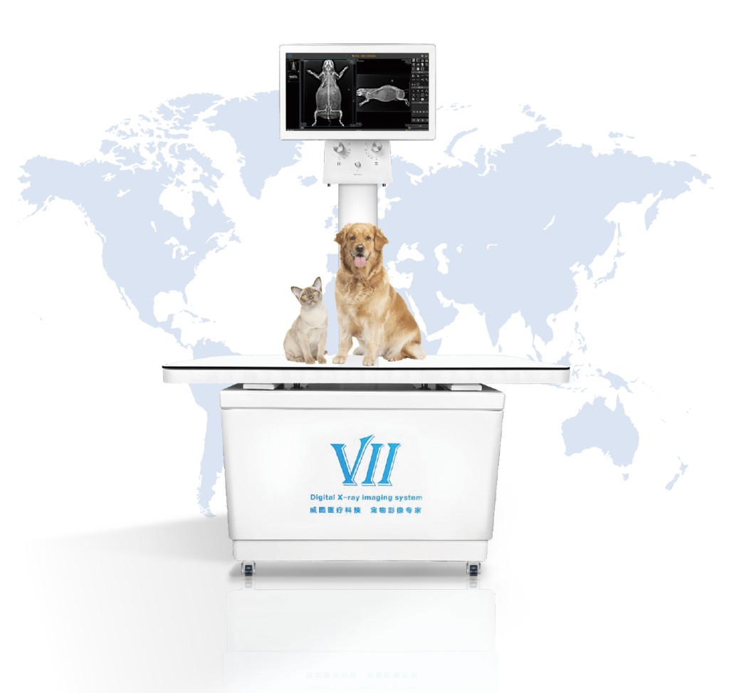 VETOO VF1 Dynamic DR